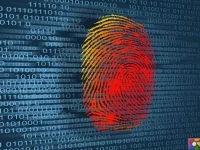 images (38).webp images (38).webp